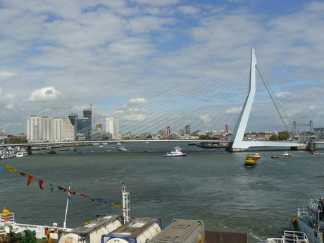 Erasmusbrug vanaf de Pride of Rotterdam