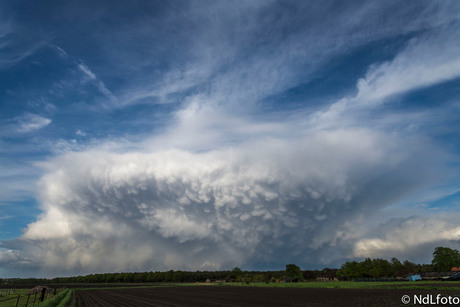 donderwolk met aambeeld