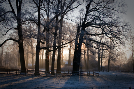 Zonsopkomst met rijp 2