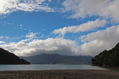 Nikau Cove