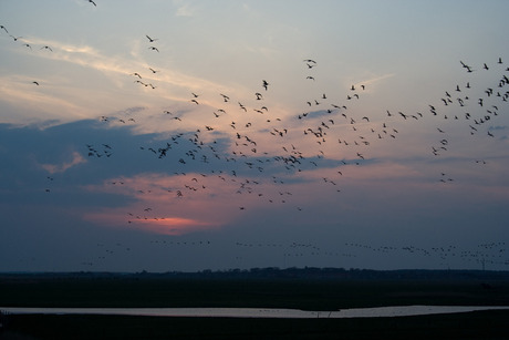 Zonsondergang