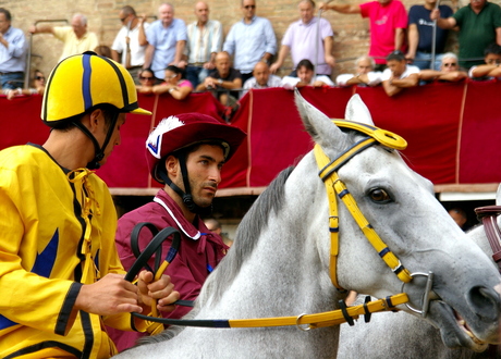 Aquila & Torre at the mossa