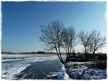 Winterlandschap in de Krimpenerwaard....