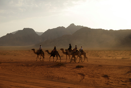 Rawhide in Wadi Rum