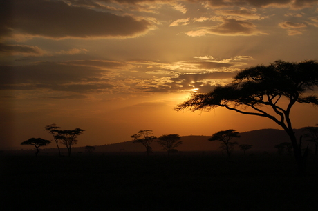 Sunset Serengeti