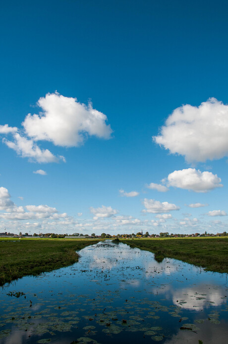 Plat Holland