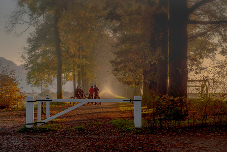 Herfst in s-Gravenland