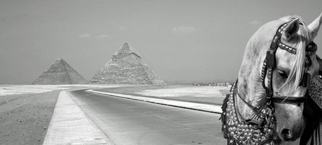 Pyramids & horse