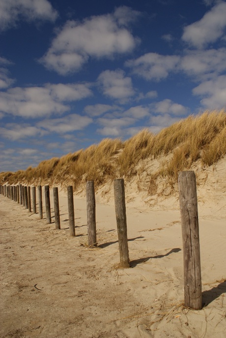 Terschelling