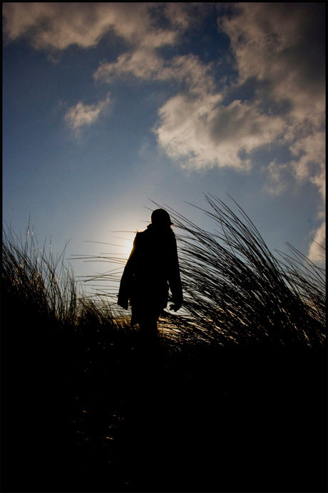 De koude duinen