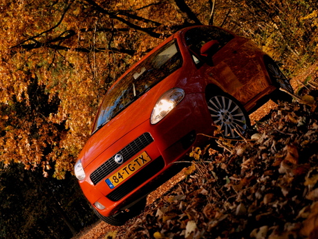 Fiat in fall