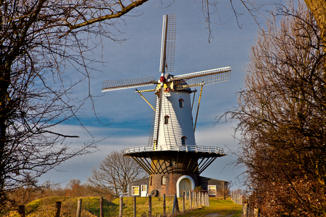 Molen te Veere