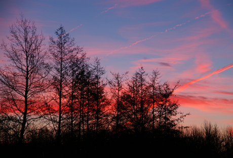 Ochtendrood