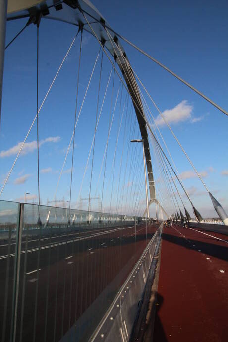 de oversteek ,het fietspad