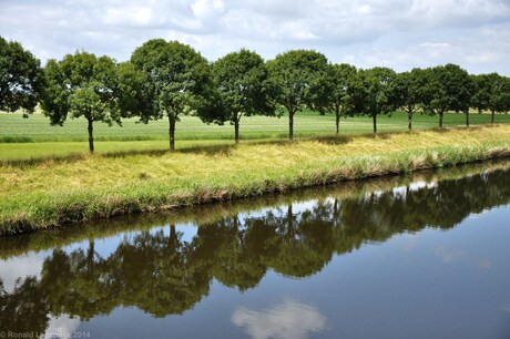 Mark Vlietkanaal