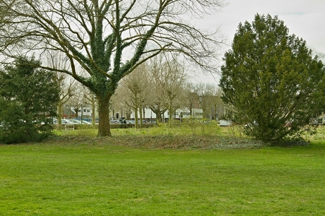 Wandeling in Park Esterveld, foto 6.