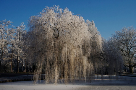 winter in gouda