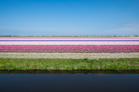 Lijnen