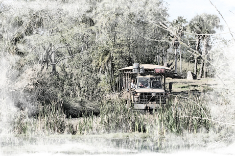 Kilimanjaro safari Animal Kingdom