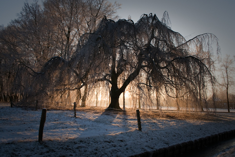 Winter boom contour 2