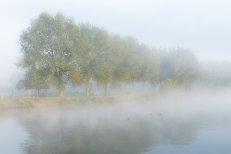 Mistige Ochtend langs de Leie in Kortrijk