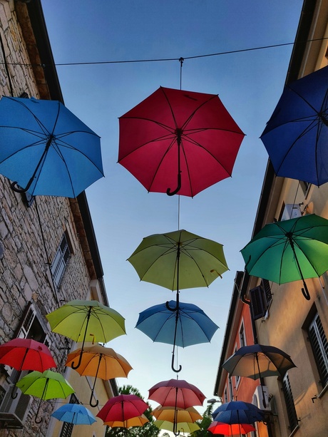 Novigrad paraplu's