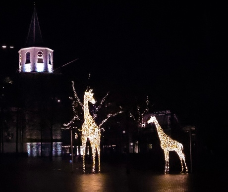 Verlichte beestenbende stadscentrum Emmen