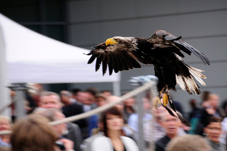 Photokina