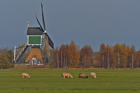 Gelkenes molen