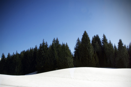 les praz de lys