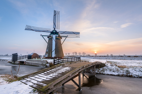 Hollandse Winter