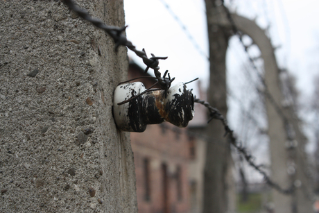 Hek in Auschwitz