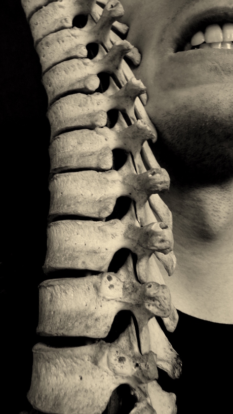 Spinal Cord , Gnashing Teeth