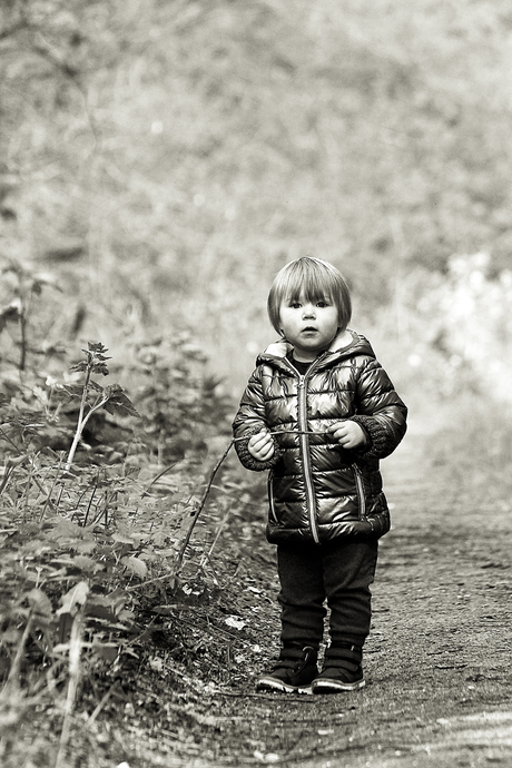Klein meisje in het bos
