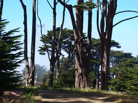 Golden Gate , SF California