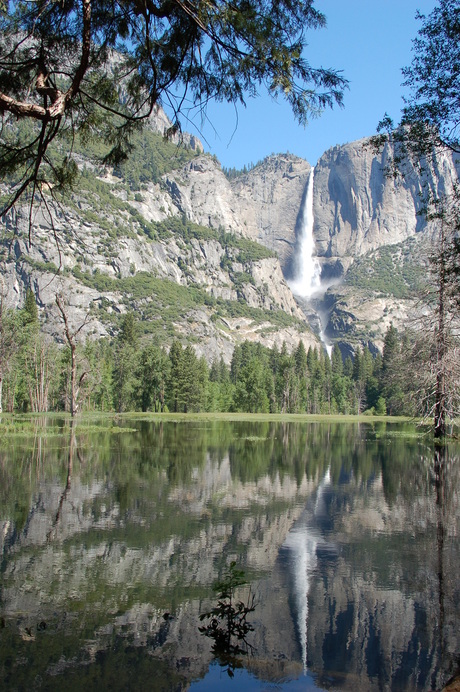 Yosemite N.P. [22-06-2011]