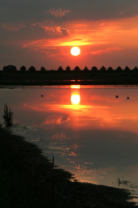 Erg prettige ondergaande zon