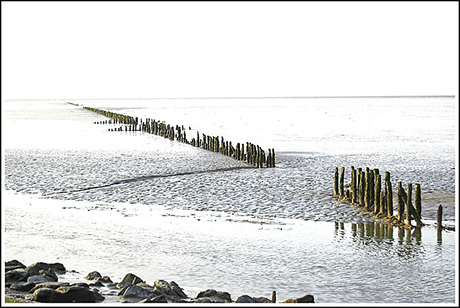 het wad