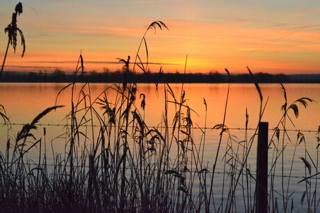 Steenwijk in het ochtendrood