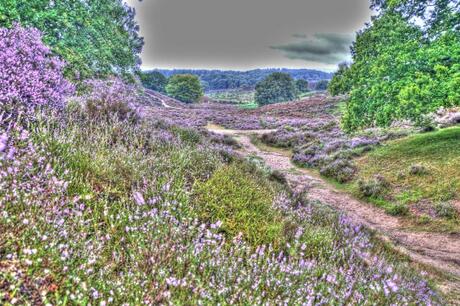 Posbank in HDR