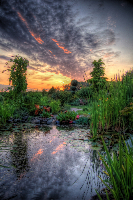 HDR in achtertuin kennis