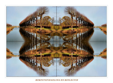 Herfstspiegeling en Reflectie