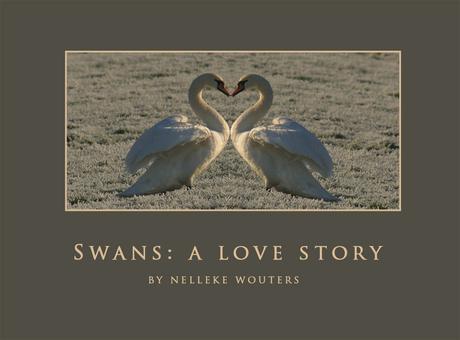 Swans: A love story