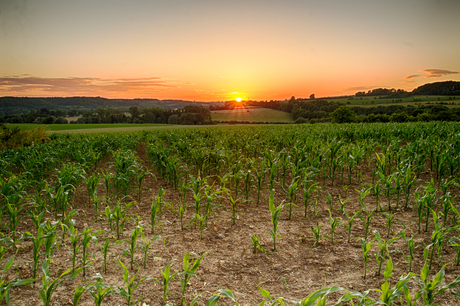 zonsondergang