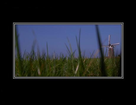 Veel gras.....en een molen