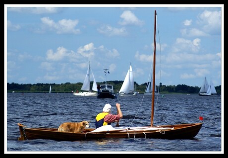 Hond te water