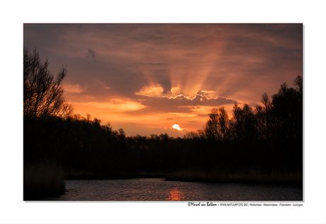 De Biesbosch