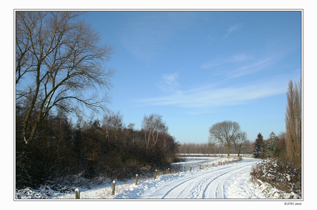 Winter dec 2009 (2)