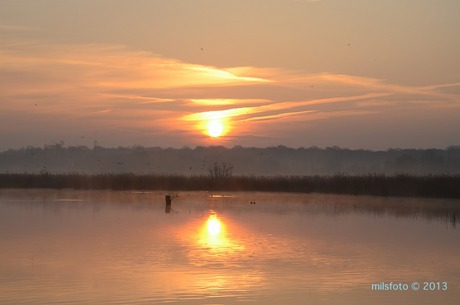 Opkomst van de zon, Het Vinne