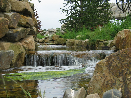 Waterval dierentuin Emmen